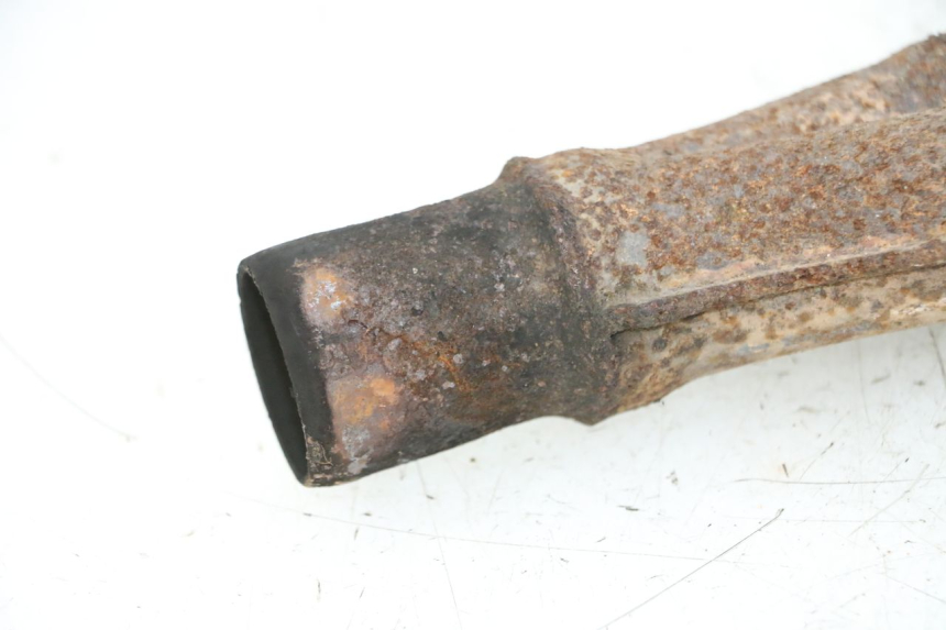 photo de COLECTOR YAMAHA XJN DIVERSION 600 (2000 - 2003)