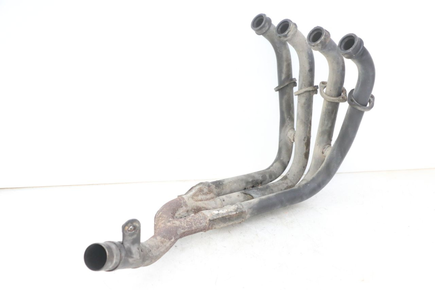 photo de COLECTOR YAMAHA FZS FAZER 600 (2001 - 2003)