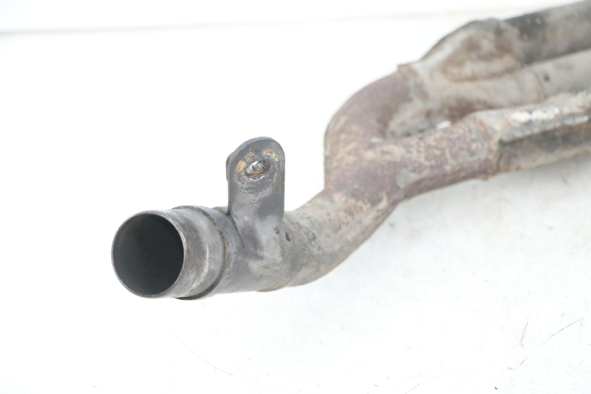 photo de COLECTOR YAMAHA FZS FAZER 600 (2001 - 2003)