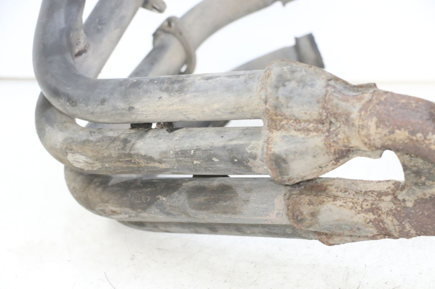 photo de COLECTOR YAMAHA FZS FAZER 600 (2001 - 2003)