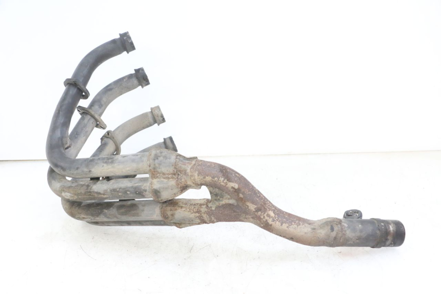 photo de COLECTOR YAMAHA FZS FAZER 600 (2001 - 2003)