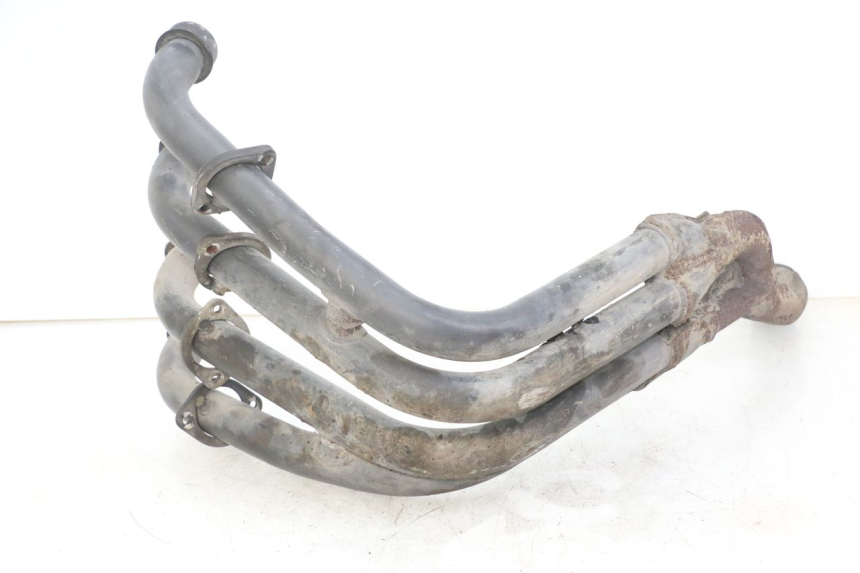 photo de COLECTOR YAMAHA FZS FAZER 600 (2001 - 2003)