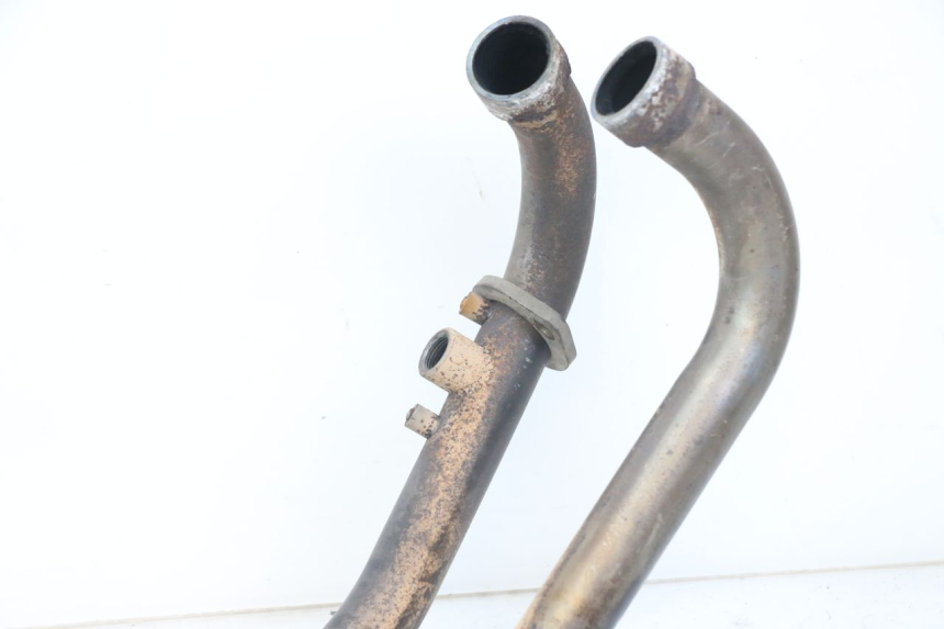 photo de COLECTOR YAMAHA XT X 660 (2004 - 2016)