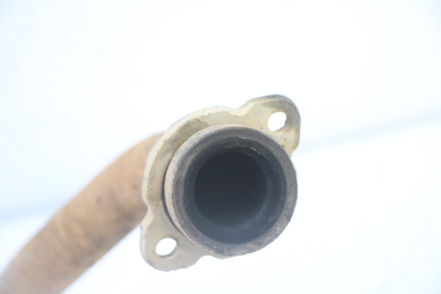 photo de COLECTOR YAMAHA YFM R RAPTOR 250 (2008 - 2014)