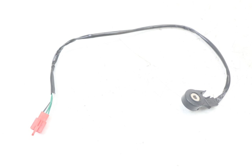 photo de CABALLETE INTERRUPTOR MASH LEGEND'R 4T 50 (2021 - 2025)
