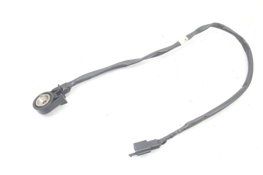 photo de INTERRUPTOR DE ENCENDIDO PATA DE CABRA PEUGEOT TWEET 4T 50 (2023 - 2025)