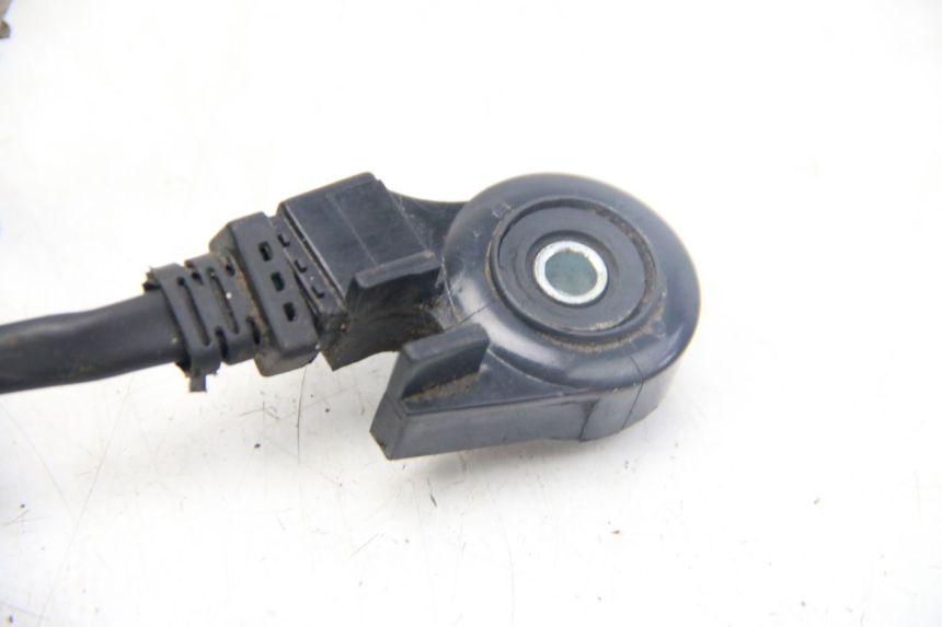 photo de INTERRUPTOR DE ENCENDIDO PATA SELECT UP OCTALIS 125 (2007 - 2012)