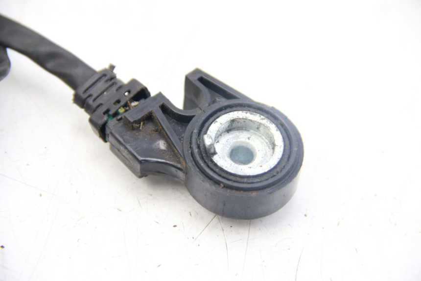 photo de INTERRUPTOR DE ENCENDIDO PATA SELECT UP OCTALIS 125 (2007 - 2012)