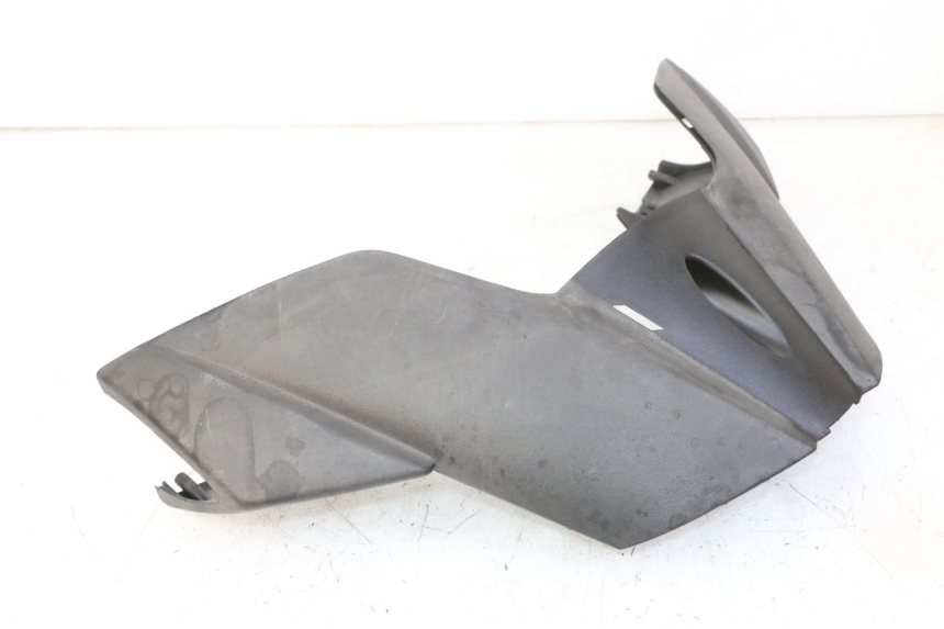 photo de TAPA MANILLAR TRASERO QUADRO 4 4D 350 (2015 - 2018)