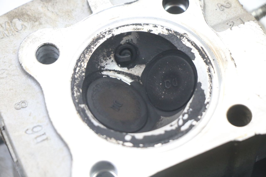 photo de CULATA DAELIM BESBI 125 (2007 - 2008)