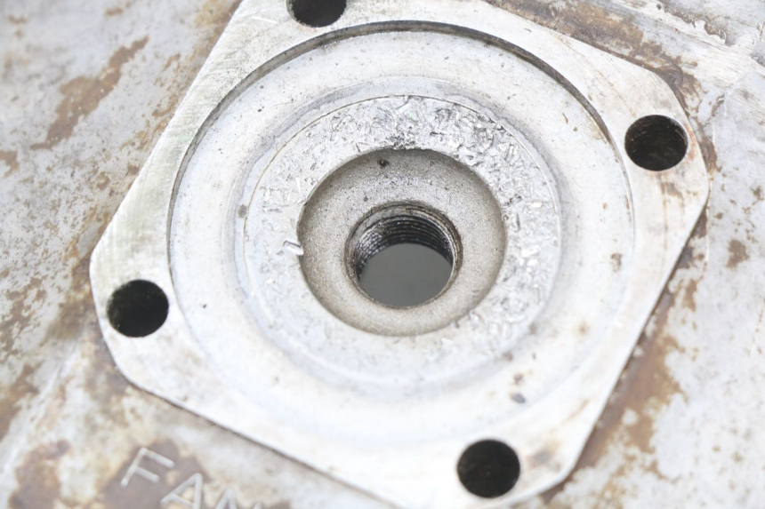 photo de CULATA FANTIC MOTOR CABALLERO TX 190 50