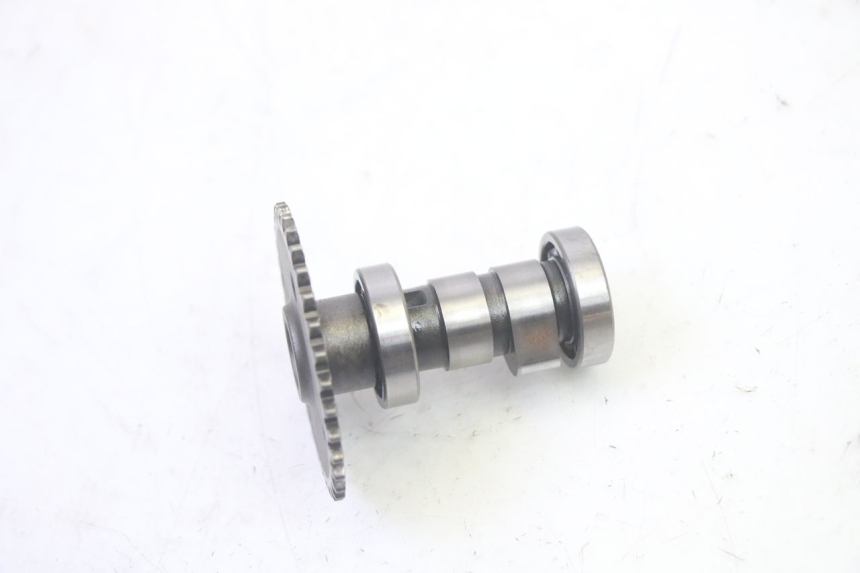 photo de CULATA LONGJIA DIGITA 4T 50 (2019 - 2022) - Primer plano de alta resolución