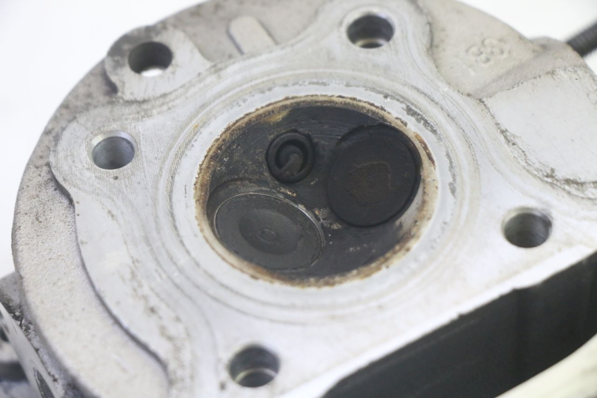 photo de CULATA LONGJIA DIGITA 4T 50 (2019 - 2022) - Primer plano técnico