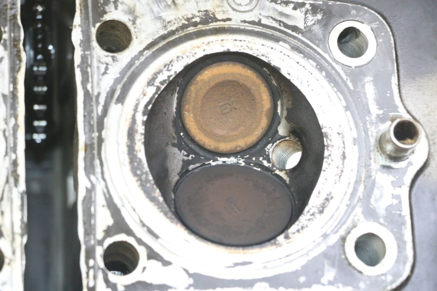 photo de CULATA SUZUKI GS GSE 500 (2001 - 2003)