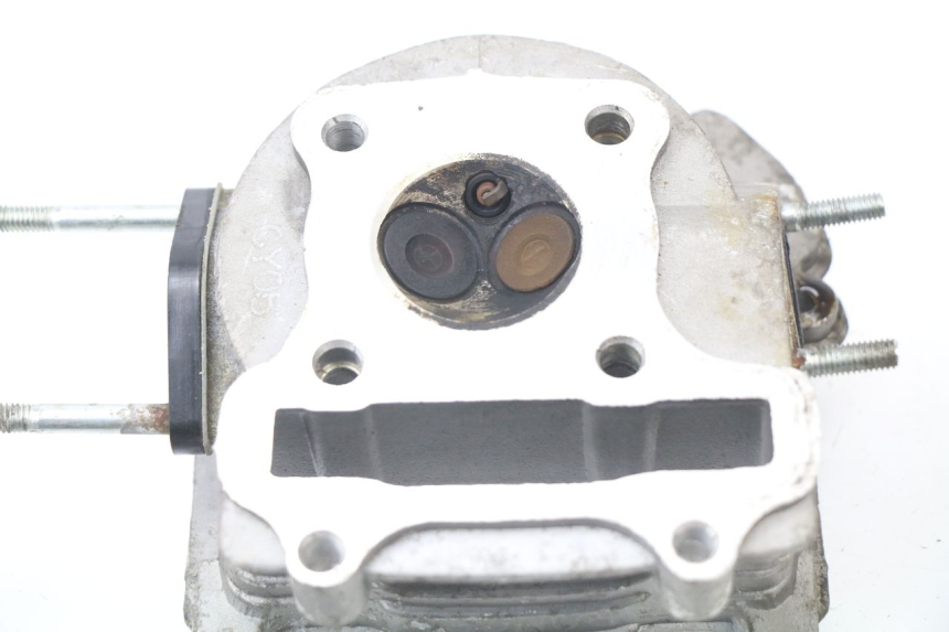 photo de CULATA JM MOTORS SUNNY 50 (2017 - 2020)