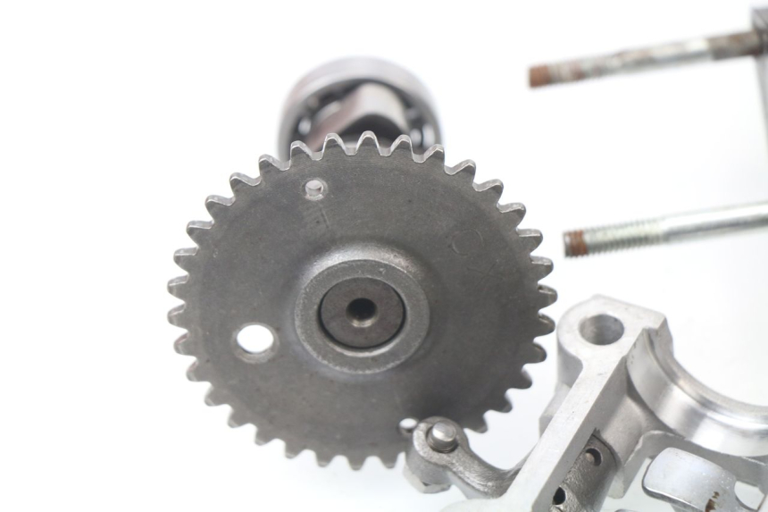 photo de CULATA JM MOTORS SUNNY 50 (2017 - 2020)