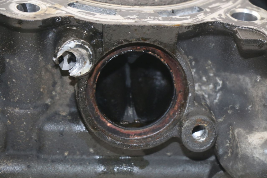 photo de CULATA YAMAHA TDM ABS 900 (2002 - 2014)