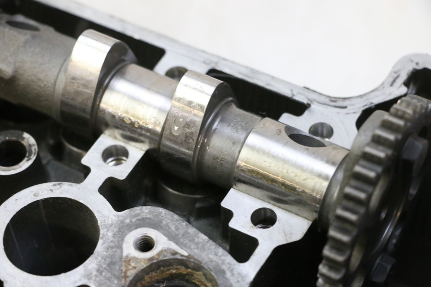 photo de CULATA YAMAHA TDM ABS 900 (2002 - 2014)