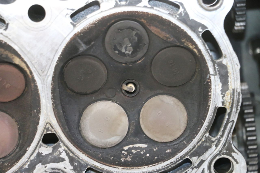photo de CULATA YAMAHA TDM ABS 900 (2002 - 2014)