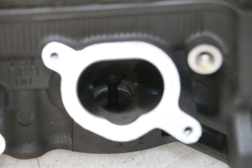photo de CULATA YAMAHA TDM ABS 900 (2002 - 2014)