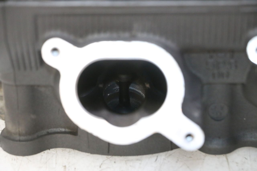 photo de CULATA YAMAHA TDM ABS 900 (2002 - 2014)