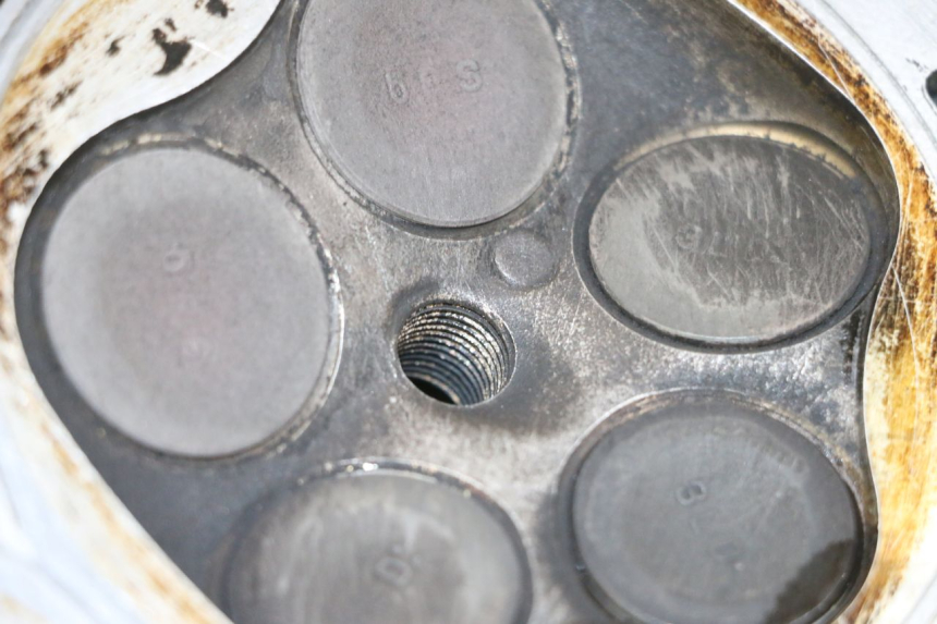 photo de CULATA YAMAHA TDM ABS 900 (2002 - 2014)