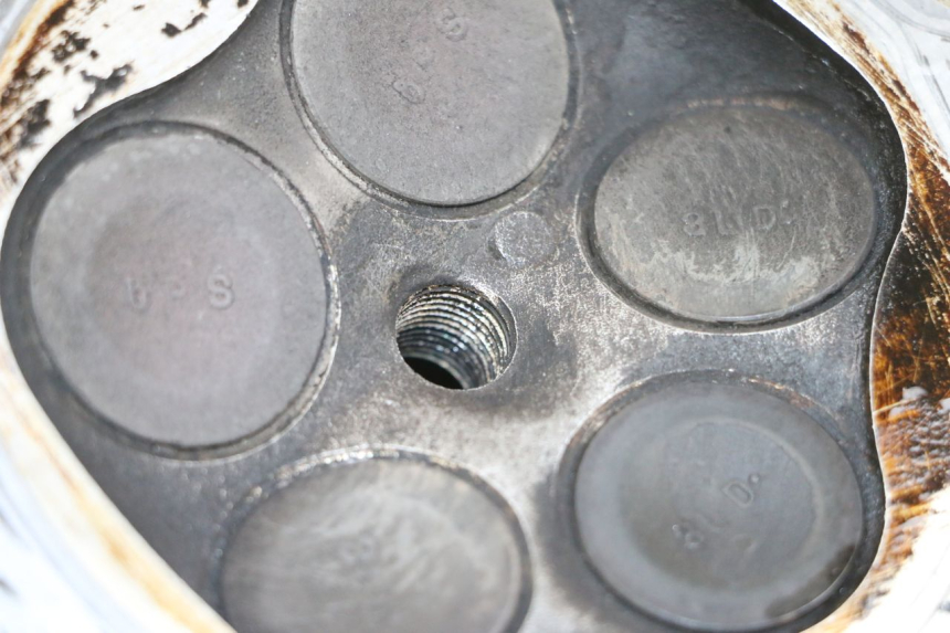 photo de CULATA YAMAHA TDM ABS 900 (2002 - 2014)