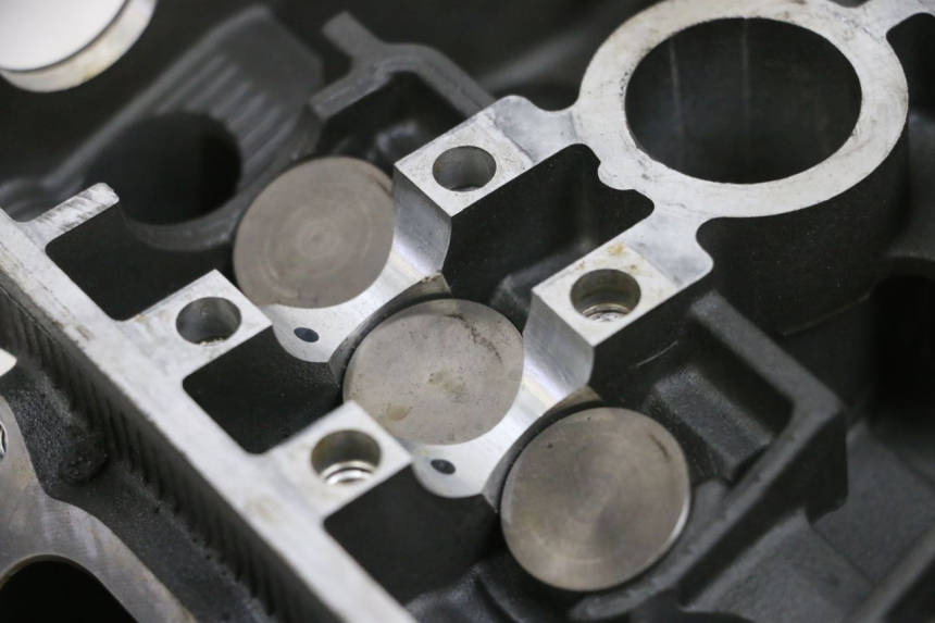 photo de CULATA YAMAHA TDM ABS 900 (2002 - 2014)