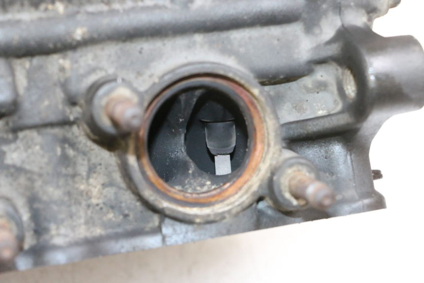 photo de CULATA YAMAHA TDM ABS 900 (2002 - 2014)