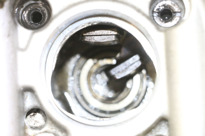 photo de CULATA YAMAHA YFM R RAPTOR 250 (2008 - 2014)