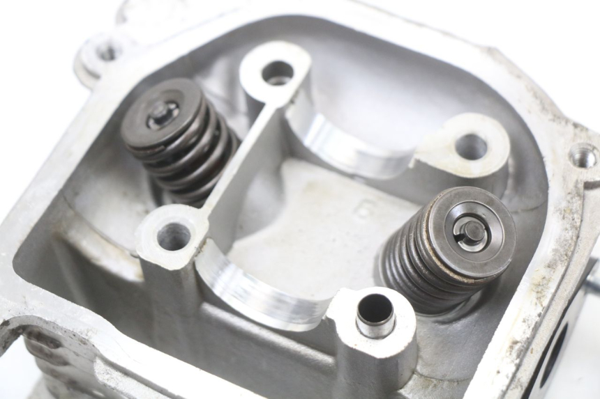 photo de CULATA UNIVERSAL BIKE ZN50QT-11B 50 (2018 - 2021)
