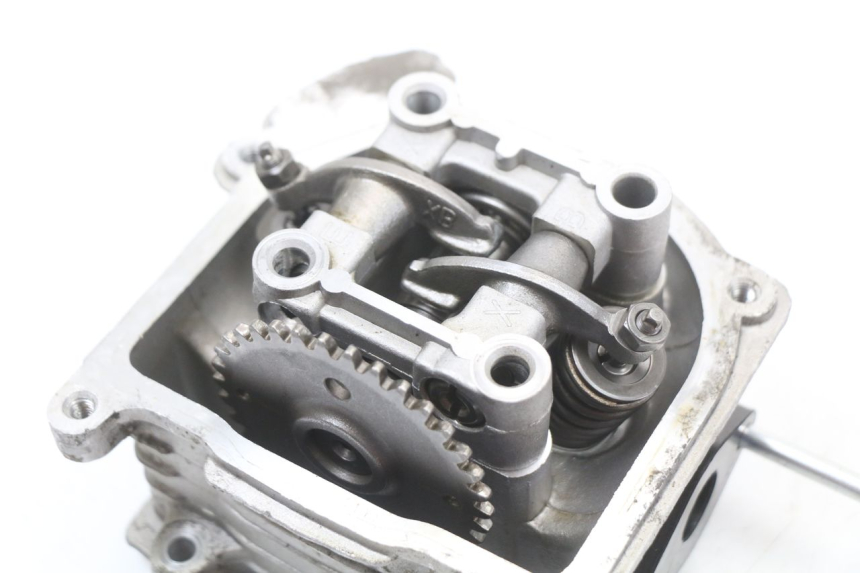 photo de CULATA UNIVERSAL BIKE ZN50QT-11B 50 (2018 - 2021)