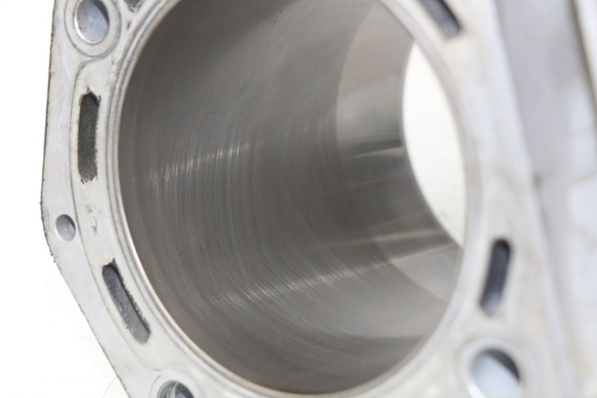 photo de CILINDRO PISTON PEUGEOT SATELIS 500 (2007 - 2013)