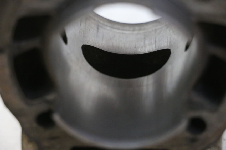 photo de CILINDRO PISTON DERBI SENDA SM DRD 50 (2008 - 2013)