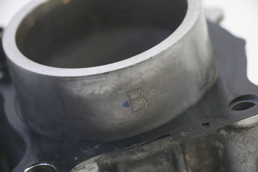 photo de CILINDRO PISTON YAMAHA TRICITY 300 (2020 - 2024) - Vista general del producto