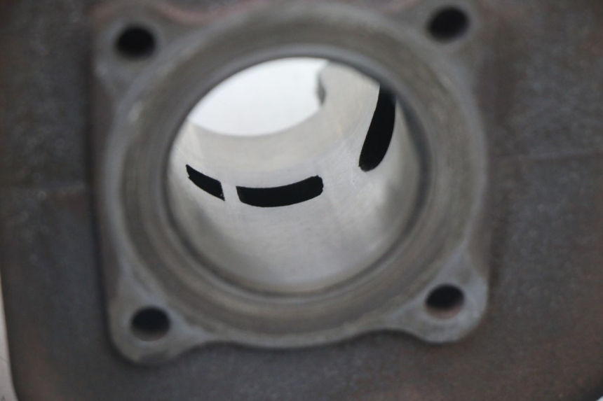 photo de CILINDRO PISTON PEUGEOT VIVACITY NEW 2T 50 (2008 - 2017)