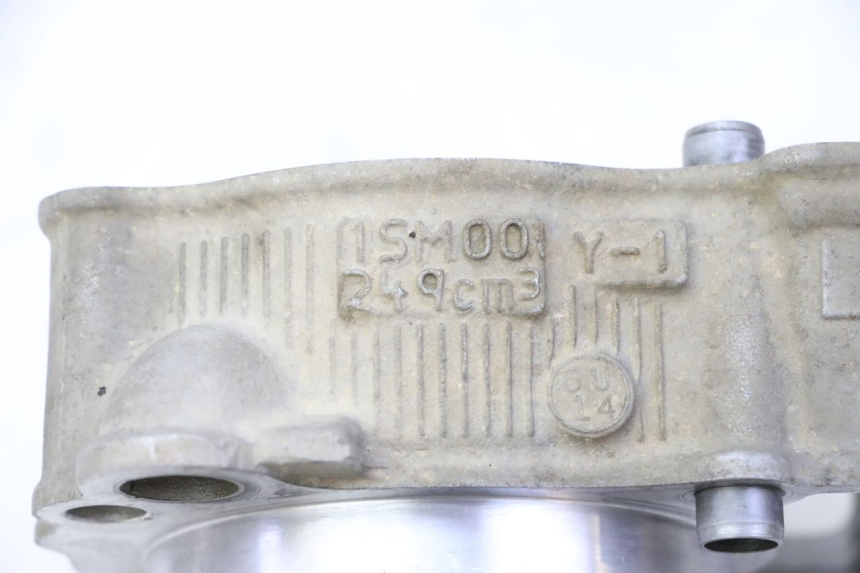 photo de CILINDRO PISTON YAMAHA YZ-F YZF 250 (2014 - 2018)