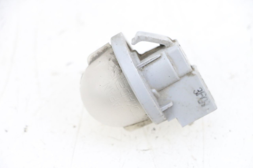 photo de LUZ MATRICULA SUZUKI BURGMAN 650 (2013 - 2020)