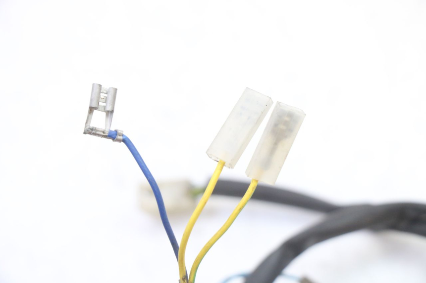 photo de LUZ MATRICULA APRILIA CLASSIC 125 (1995 - 2001)
