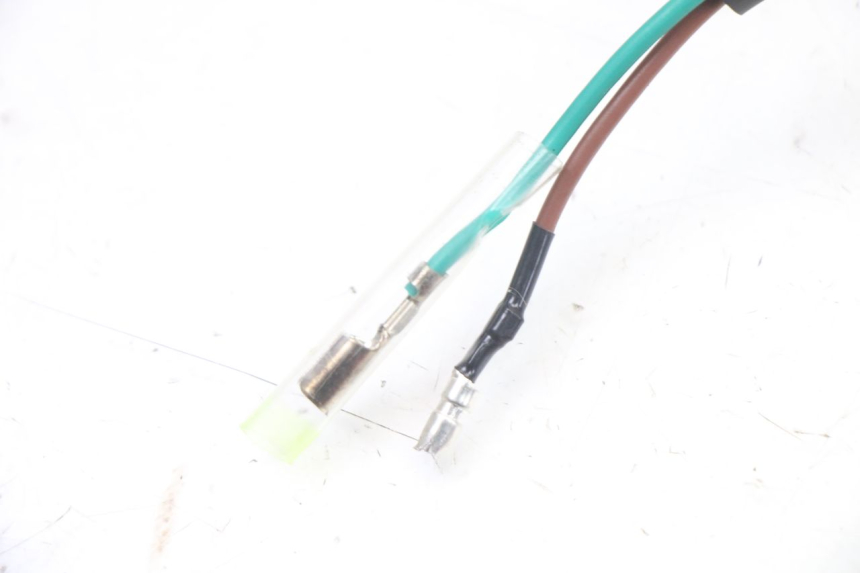 photo de LUZ MATRICULA PEUGEOT TWEET 4T 50 (2023 - 2025)