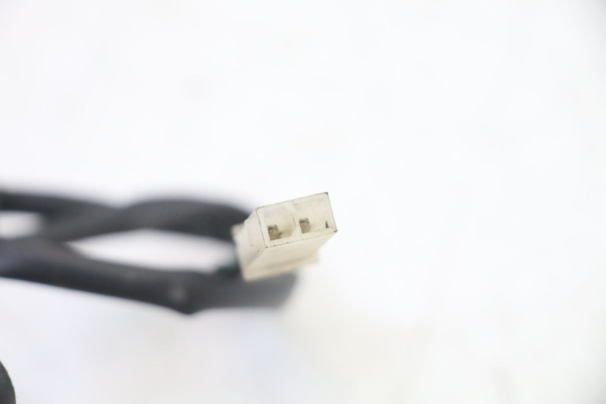 photo de LUZ MATRICULA PEUGEOT SATELIS 250 (2006 - 2012)