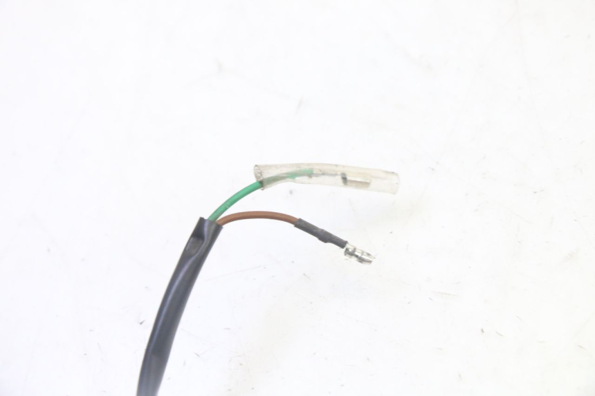 photo de LUZ MATRICULA PEUGEOT TWEET PRO CARGO 50 (2018 - 2020)