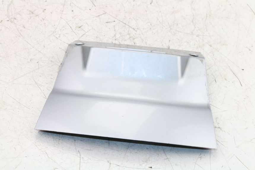 photo de LUZ MATRICULA PIAGGIO X8 STREET 125 (2006 - 2007) - Vista general del producto