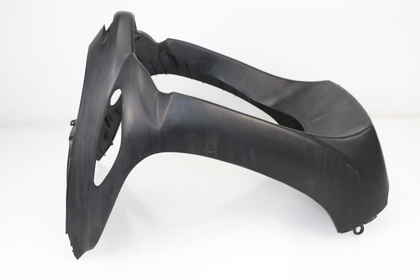 photo de CARENADO FRONTAL SACHS EAGLE 50 (2007 - 2010)