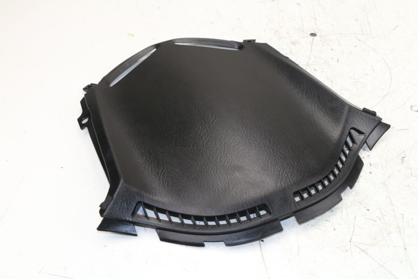 photo de FRENTE INTERIOR HONDA FES S-WING SWING ABS 125 (2007 - 2015)