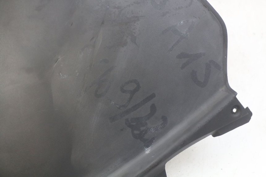 photo de CARA DELANTERA INTERIOR PIAGGIO MP3 RL 250 (2007 - 2010)