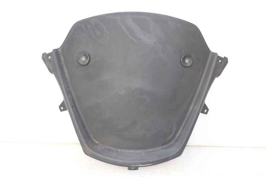 photo de CARA DELANTERA INTERIOR PIAGGIO MP3 RL 250 (2007 - 2010)