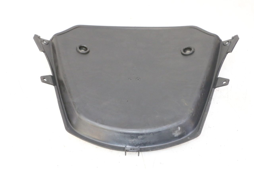 photo de CARA DELANTERA INTERIOR PIAGGIO MP3 RL 250 (2007 - 2010)