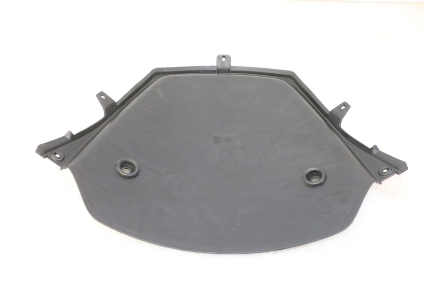 photo de CARA DELANTERA INTERIOR PIAGGIO MP3 RL 250 (2007 - 2010)