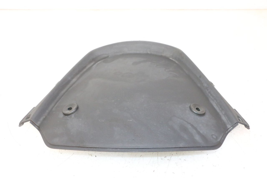 photo de CARA DELANTERA INTERIOR PIAGGIO MP3 RL 250 (2007 - 2010)